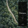 Cover Image for The Formula Original Mix