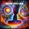 Cover Image for What You Like Extended Mix