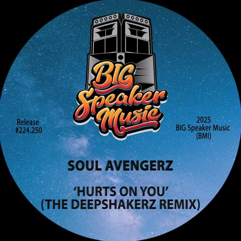 image cover: Soul Avengerz - Hurts On You (The Deepshakerz Remix) on Big Speaker Music