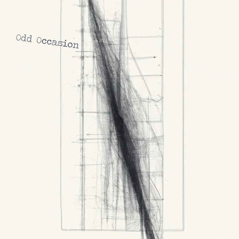 image cover: Odd Occasion - SIMPLE on Hotflush Recordings