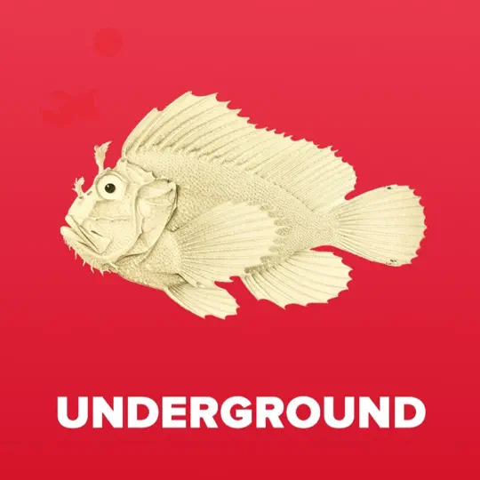 image cover: Underground Track IDs