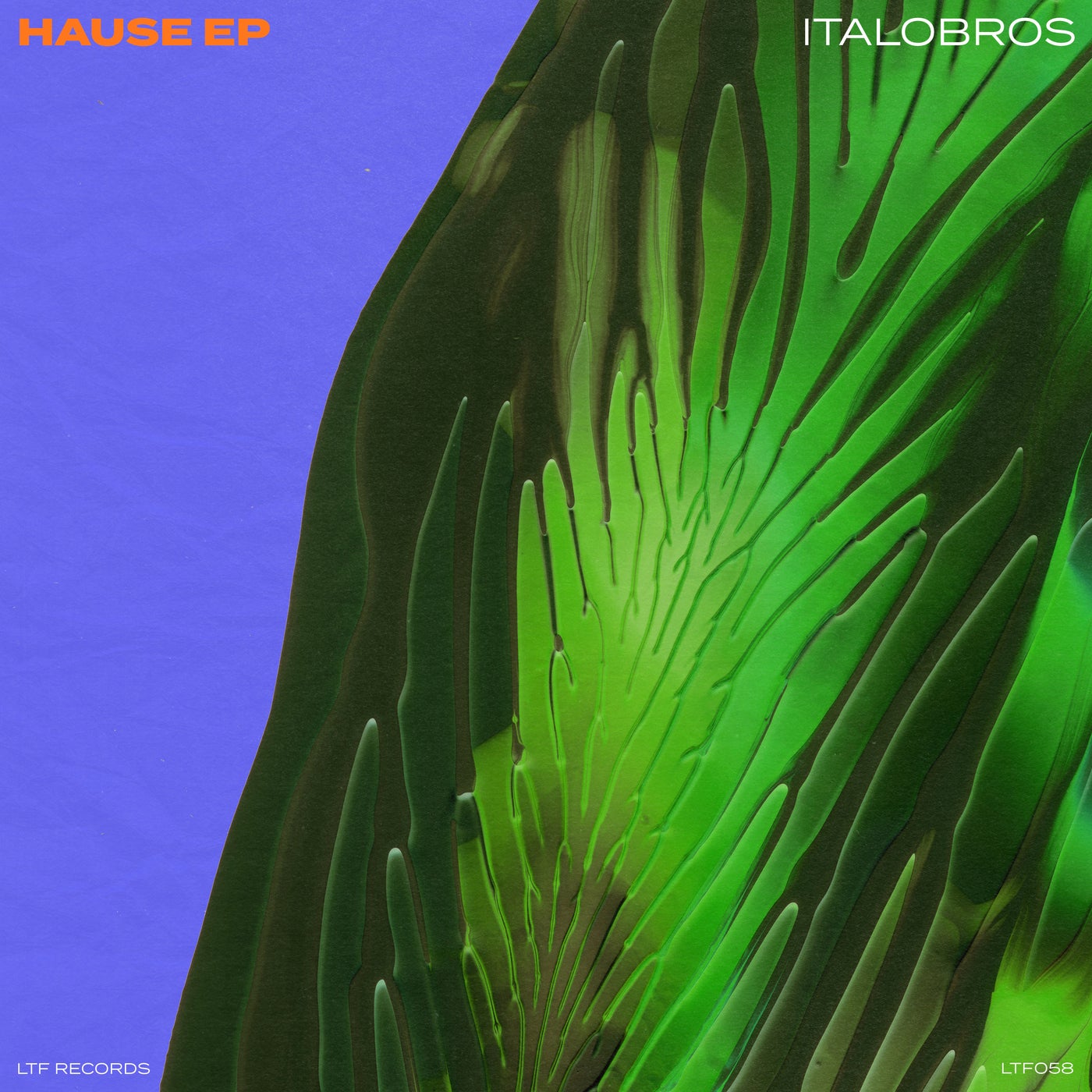 image cover: Italobros - Hause EP - Original Mix on LTF Records