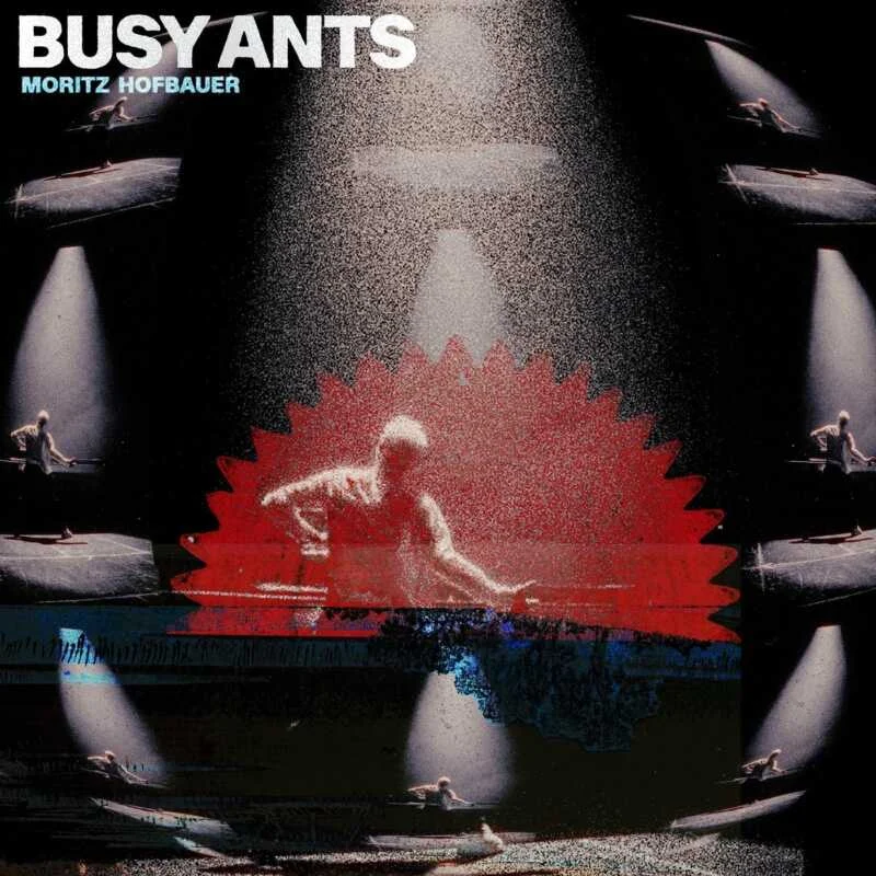 Cover Image for Moritz Hofbauer - Busy Ants on FCKNG SERIOUS