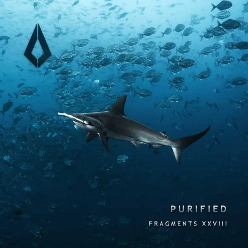 image cover: If I?, Solink, Oblivium - Purified Fragments XXVIII on Purified Records