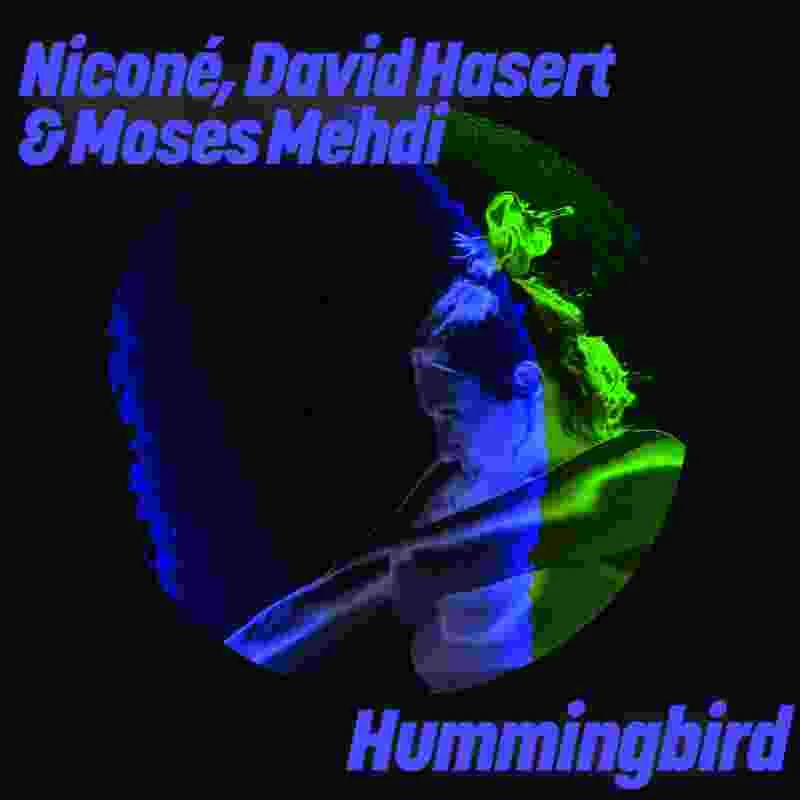 image cover: Nicone, David Hasert, Moses Mehdi - Hummingbird on Get Physical Music