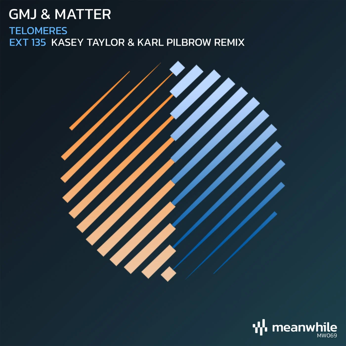 image cover: GMJ, Matter - Telomeres / EXT 135 (Kasey Taylor & Karl Pilbrow Remix) on Meanwhile