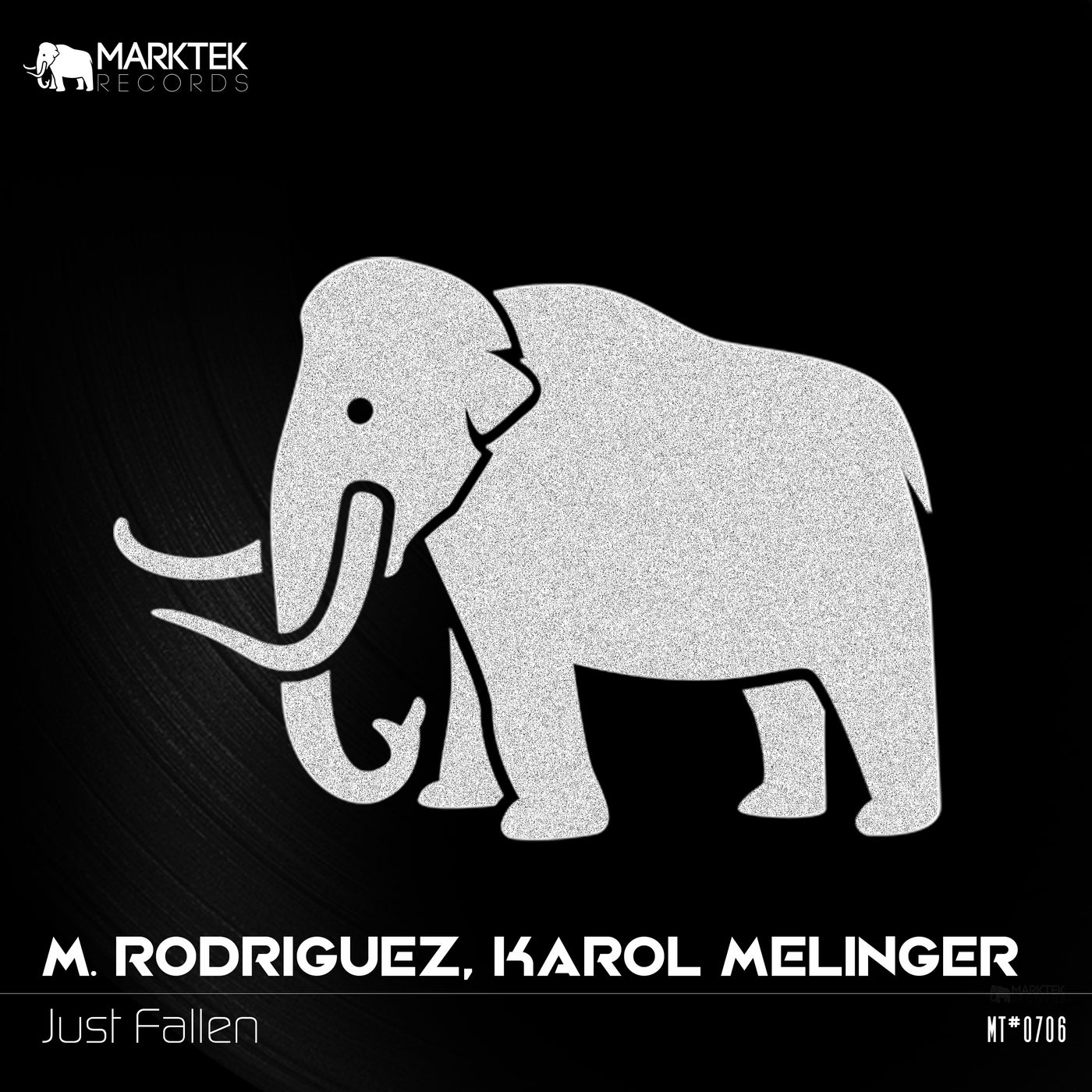 image cover: M. Rodriguez, Karol Melinger - Just Fallen on Marktek Records