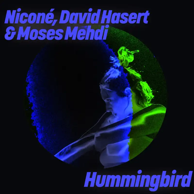 image cover: Nicone, David Hasert, Moses Mehdi - Hummingbird on Get Physical Music